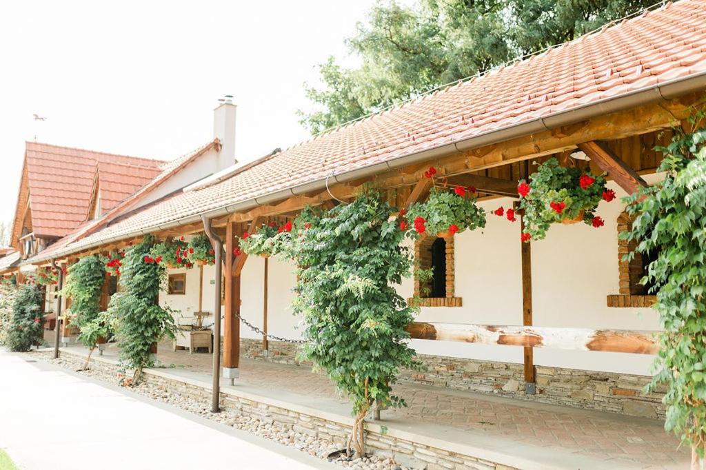 Pension Zwicker Prešov Exterior foto